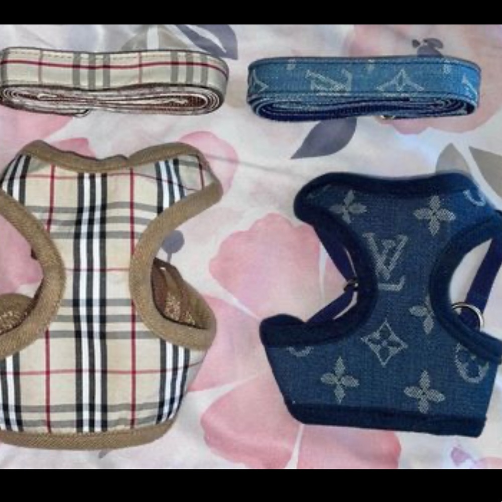 DOG HARNESS WITH MATCHING LEASH